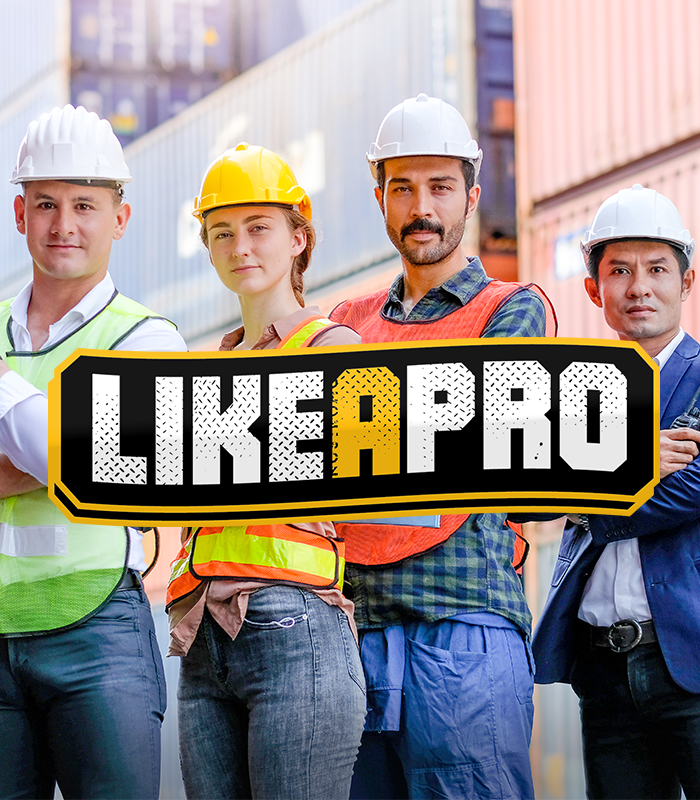 Like A Pro show cover